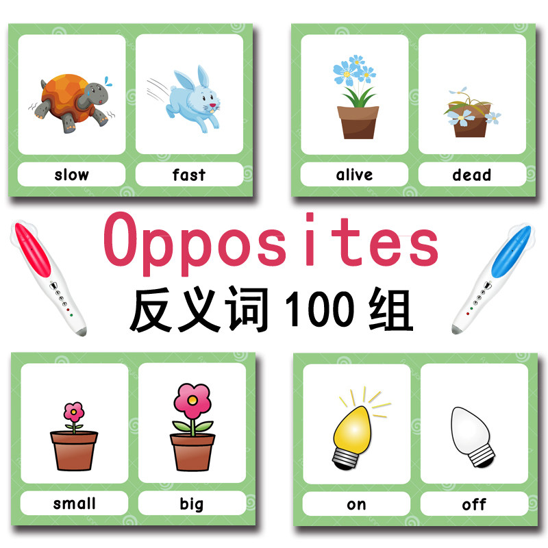 แฟลชการ์ดคำศัพท์ภาษาอังกฤษ 100 - Kids Toys Learning บทวิจารณ์และราคา